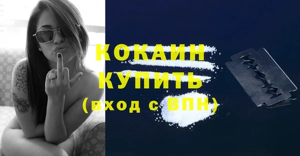 spice Верея