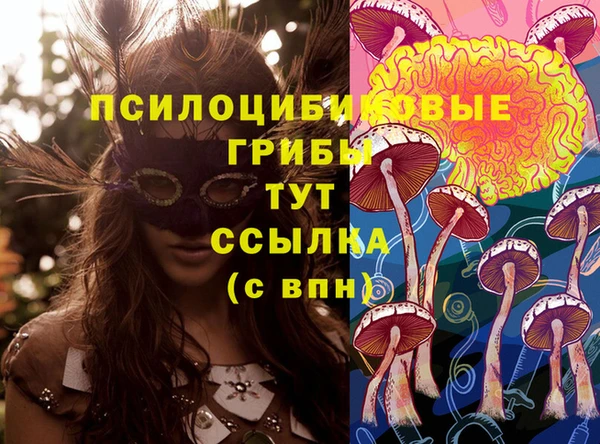 гидра Бородино