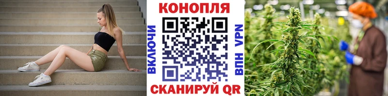 Каннабис тримм mega рабочий сайт Кимовск